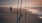 Fishing poles in the sand at the beach and man standing with a pole in the background